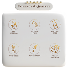 Load image into Gallery viewer, Vegan Protein Vanilla Milkshake