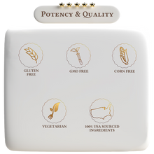 Load image into Gallery viewer, Protein Whey Premium Protein Blend Chocolate Milkshake